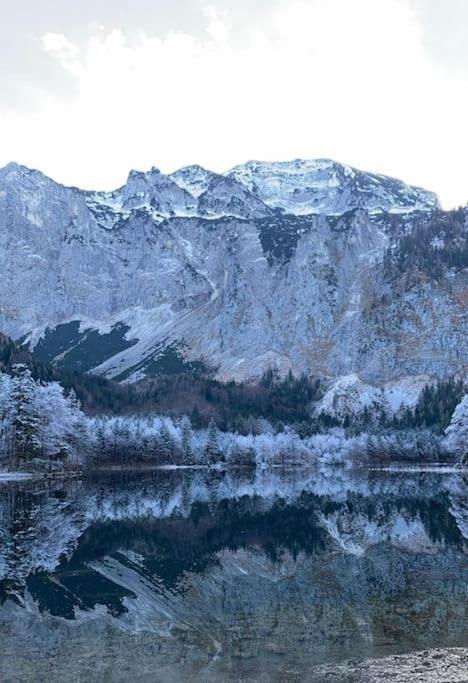 Wohnung See- Und Bergnaehe Gmunden Dış mekan fotoğraf
